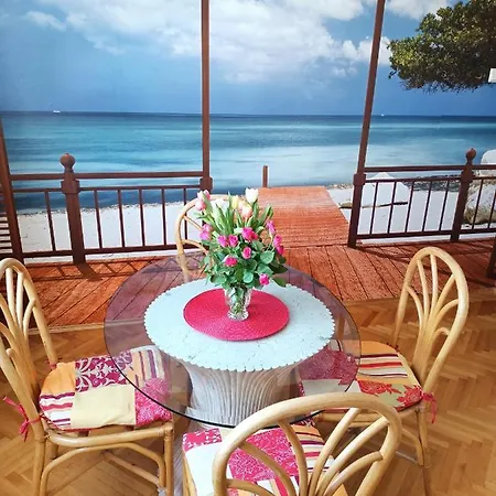 Amber 127m2 + Terrace Apartment Gdynia