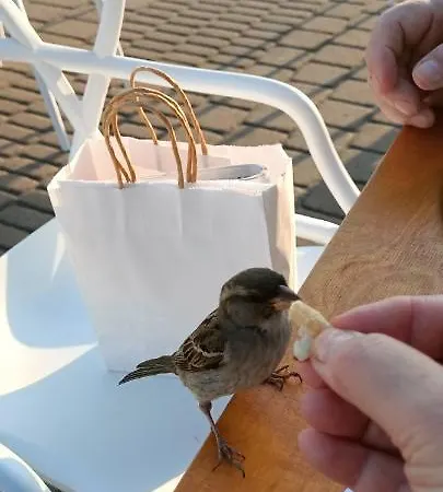 Apartamento Amber 127m2 + Terrace