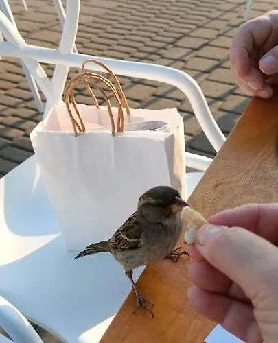 公寓 Amber 127m2 + Terrace