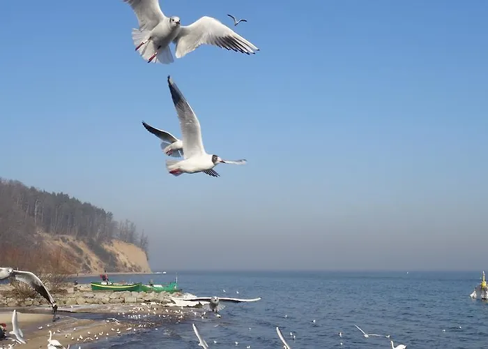 Amber 127m2 + Terrace Apartman Gdynia